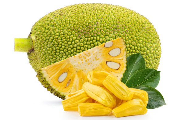 Fresh Jackfruit