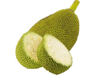 Jackfruit Jackfruit