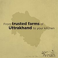 Organic Jaggery Cube