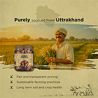 Organic Jaggery Cube Jar