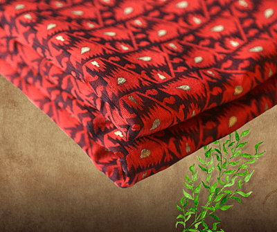 Red Black Floral Embroidered Jamdani Saree with BP