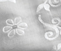 Sodashi Jamdani Saree