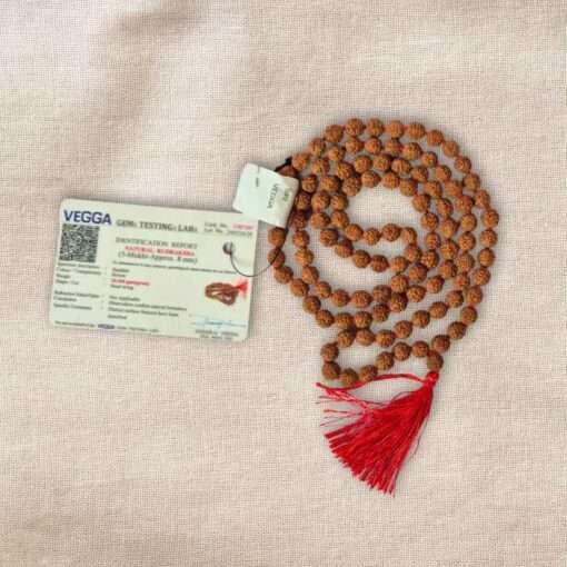 Japa Mala (Rudraksha)