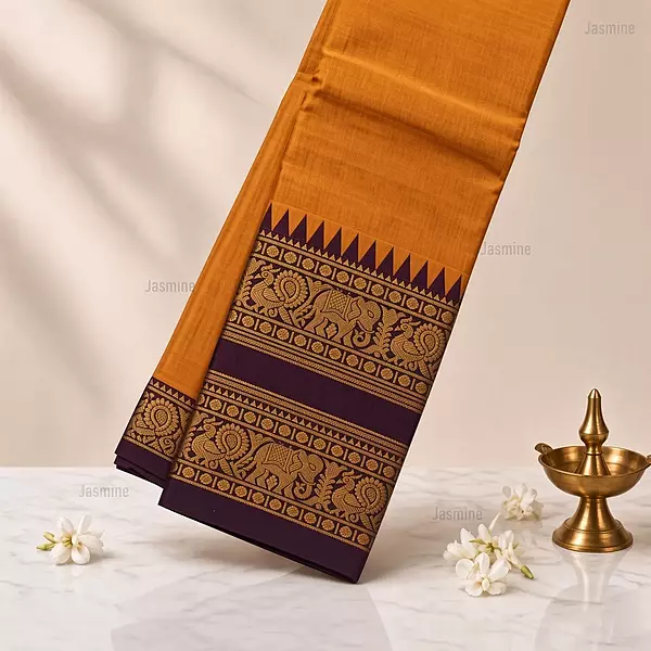 Rust orange Narayanpet cotton saree with elephant and peacock motifs