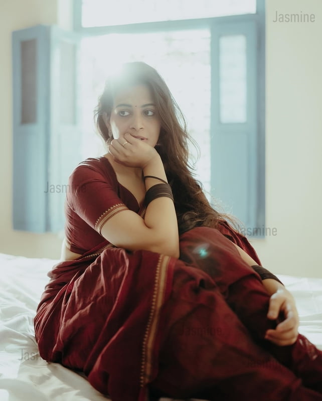 Premium Soft - Pure Narayanpet Deep maroon