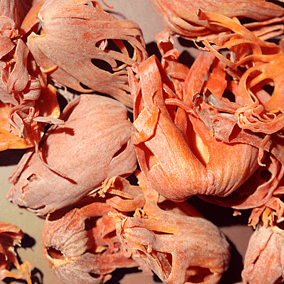 Raaja - Zavitri (Mace Flower Whole) 10gm