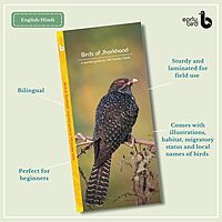 Early Bird Pocket Guides - Bulk Purchase of 50