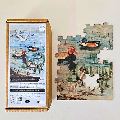 Celebrate migratory birds!