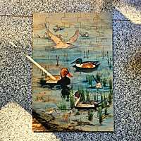 Celebrate migratory birds!