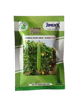 Jindal Sponge Gourd Alpana Plus Seeds
