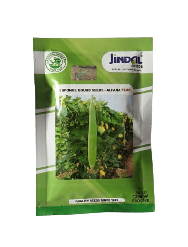 Jindal Sponge Gourd Alpana Plus Seeds