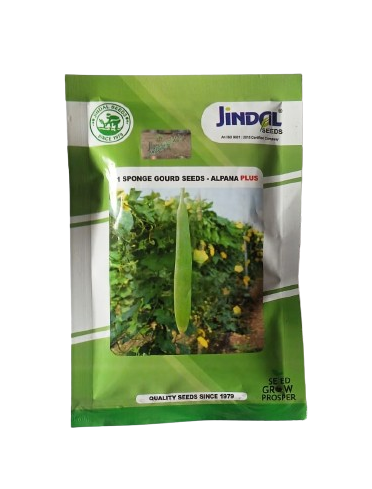 Jindal Sponge Gourd Alpana Plus Seeds