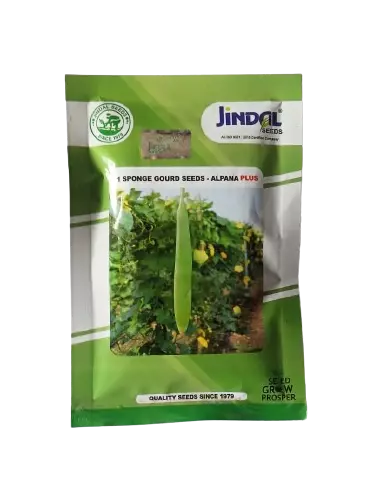 Jindal Sponge Gourd Alpana Plus Seeds