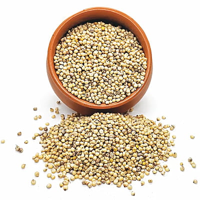 Organic Jowar Organic Jowar