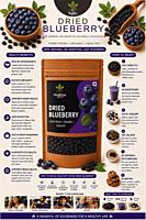 Dried Blueberry | Healthyx Zone