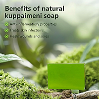 Harsha Naturals - Kuppaimeni Soap