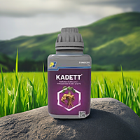 KADETT by PI Industries