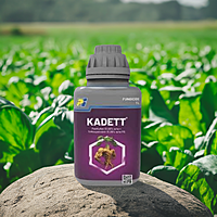 KADETT by PI Industries