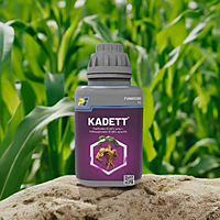 KADETT by PI Industries