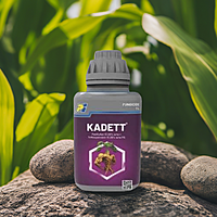 KADETT by PI Industries