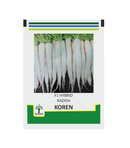 Kalash Radish Koren - 50gm