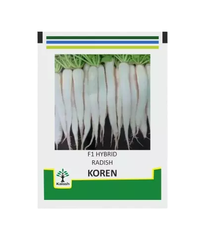 Kalash Radish Koren - 50gm
