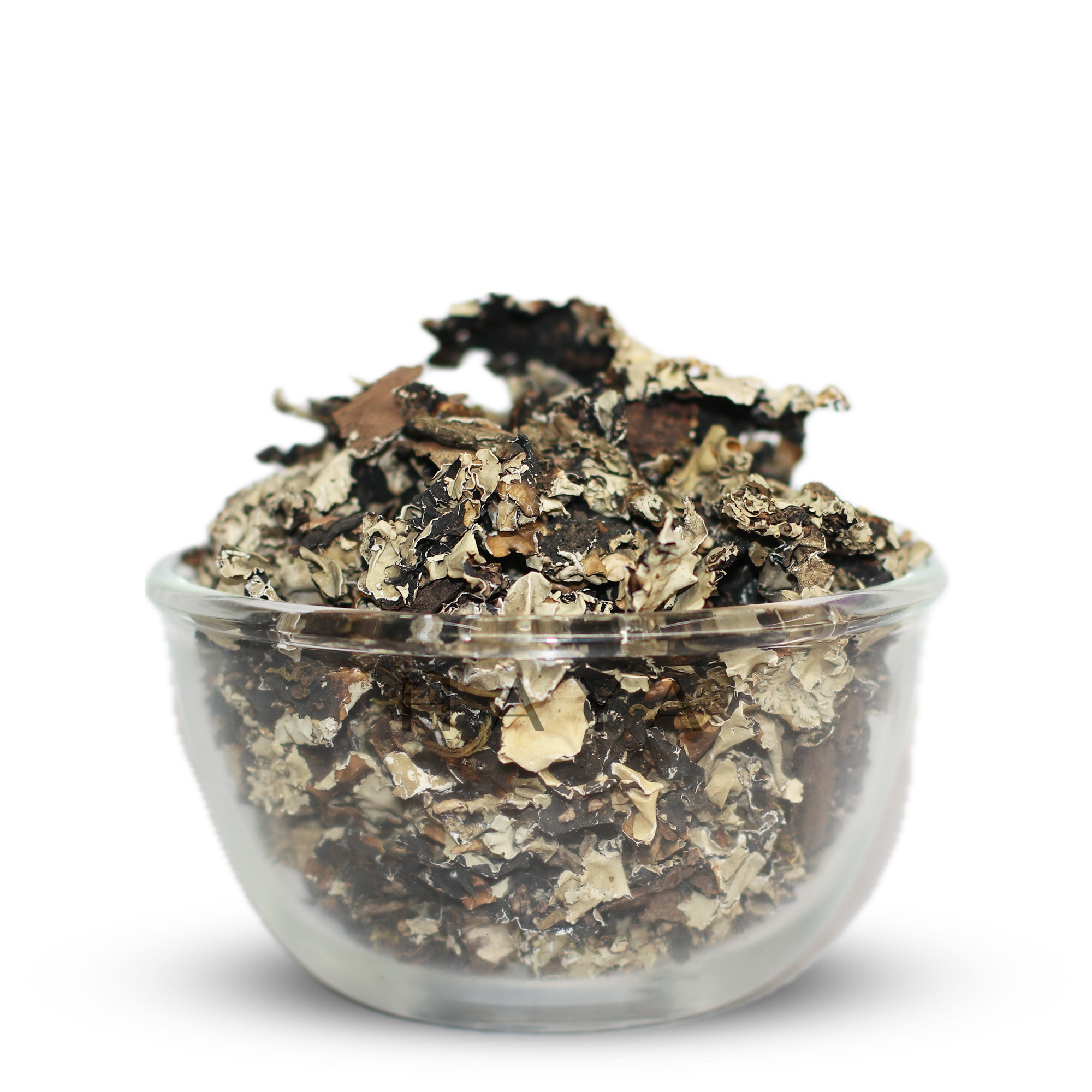 Kalpasi (Black Stone Flower)