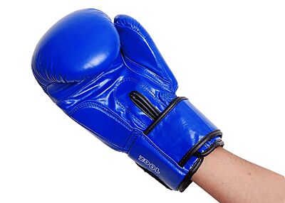 RXN KARATE GLOVES KG-1