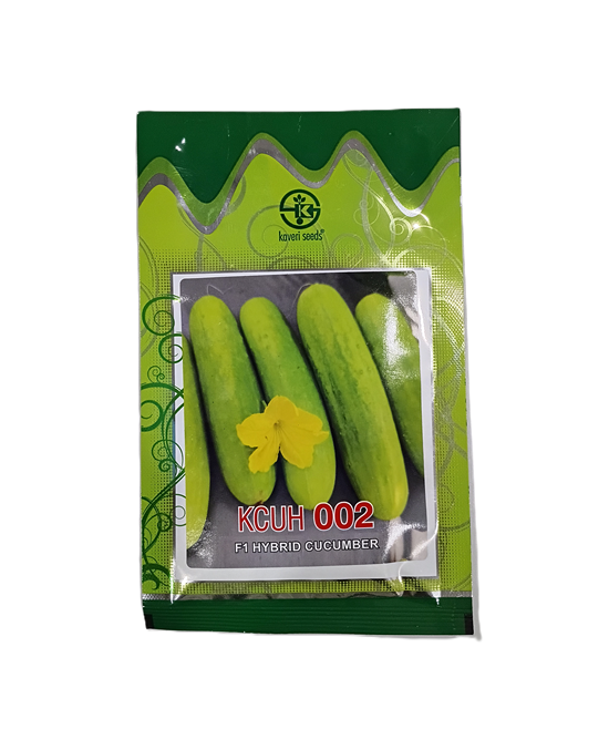 KCUH 002 (F1 HYBRID CUCUMBER) by Kaveri Seed Company Limited