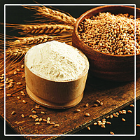 Khapli Wheat Flour