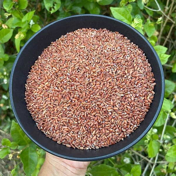 Kaatuyaanam