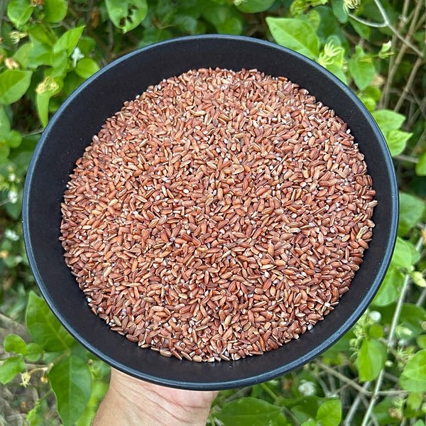 Kaatuyaanam