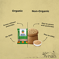 Organic Unpolished Kabuli (Safed) Chana