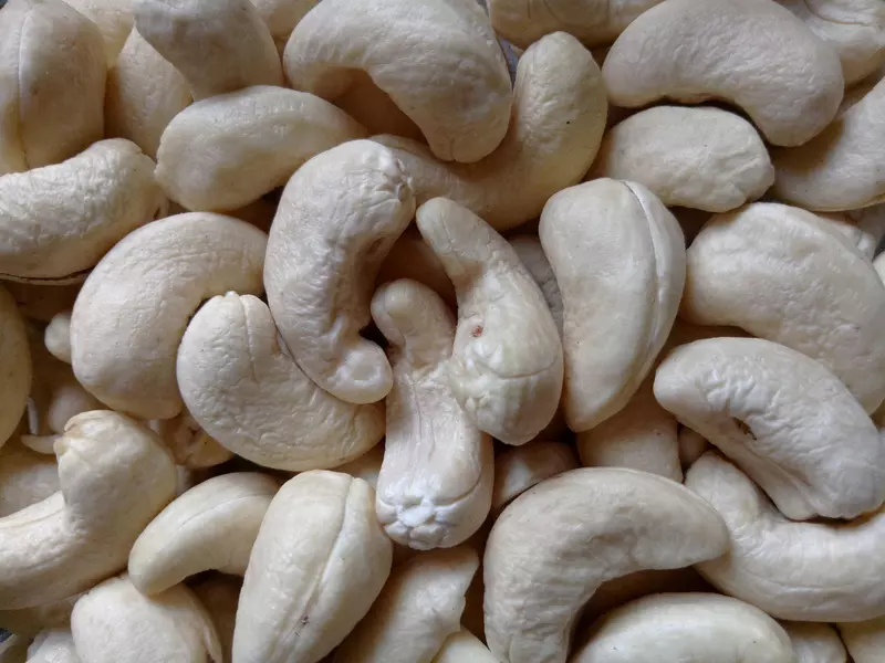 Premium Cashew Nuts | Kaju | W320