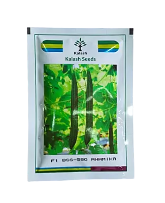 Kalash Ridgegourd BSS-580 ANAMIKA