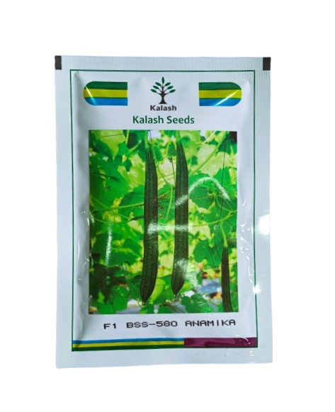 Kalash Ridgegourd BSS-580 ANAMIKA