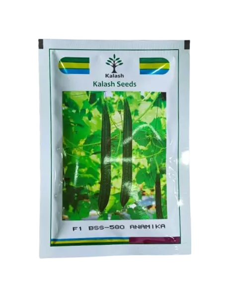 Kalash Ridgegourd BSS-580 ANAMIKA