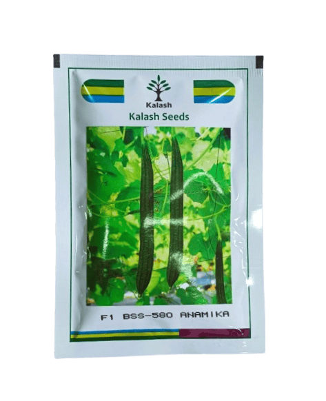 Kalash Ridgegourd BSS-580 ANAMIKA