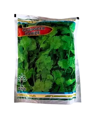 Kalash Coriander Caribe Seeds - 500 gm