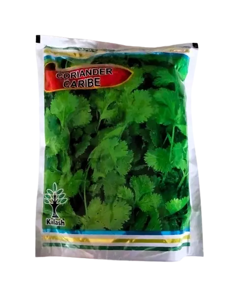 Kalash Coriander Caribe Seeds - 500 gm