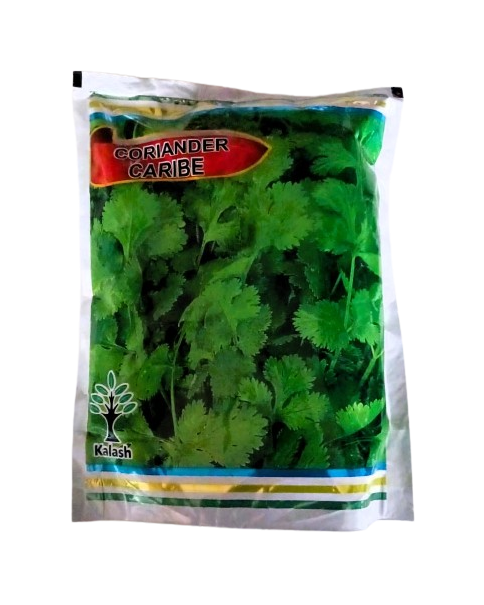 Kalash Coriander Caribe Seeds - 500 gm