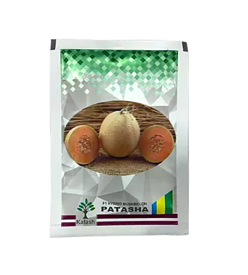 BSS-651 Patasha Muskmelon Seeds by Kalash Seeds