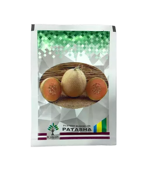 BSS-651 Patasha Muskmelon Seeds by Kalash Seeds