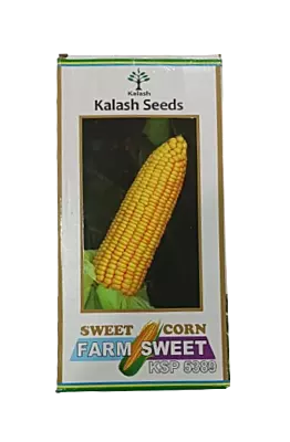 Kalash Sweet Corn Farm sweet KSP 5389-1kg