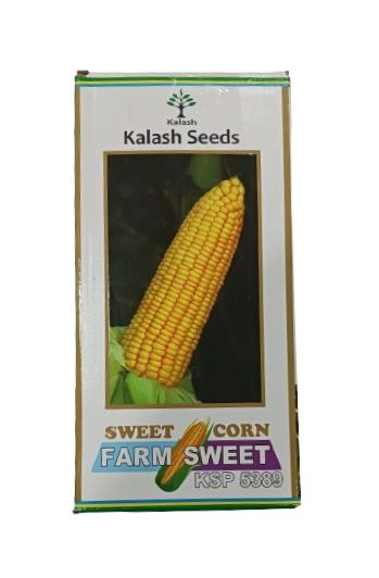 Kalash Sweet Corn Farm sweet KSP 5389-1kg