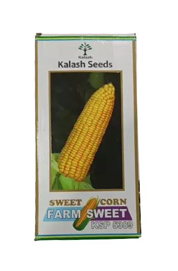 Kalash Sweet Corn Farm sweet KSP 5389-1kg