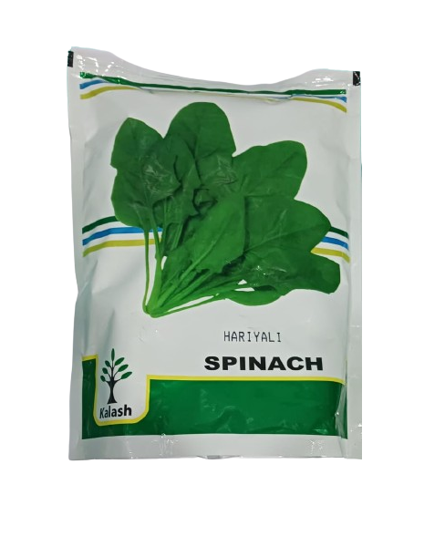 Kalash Palak Hariyalli (Spinach)-500gm