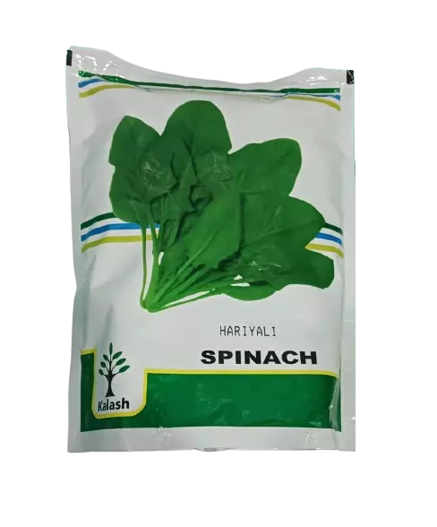 Kalash Palak Hariyalli (Spinach)-500gm