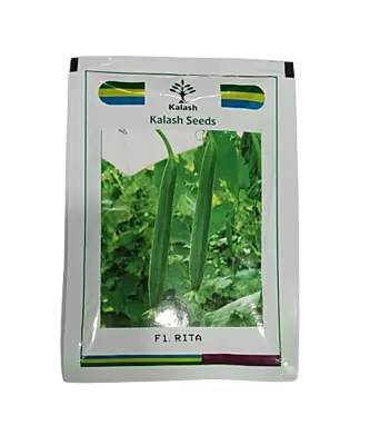 Kalash Seeds Sponge Gourd Rita F1 – 50gm