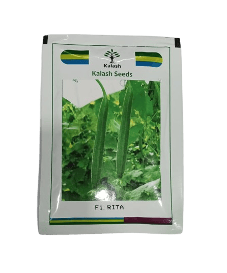 Kalash Seeds Sponge Gourd Rita F1 – 50gm